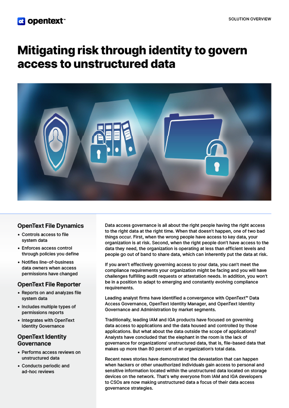 Data Access Governance Solution Flyer - New